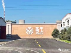 ＂松山仪器“DHF86硅酸盐化学成分分析仪的应用---平定莹玉陶瓷有限公司